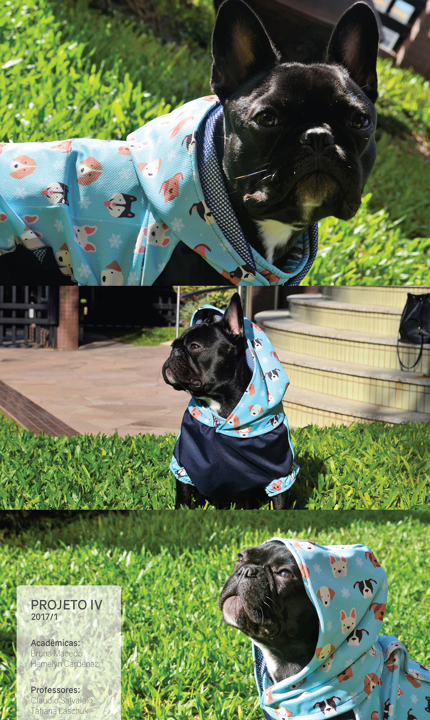 Pet Supplies & Pet，Health monitoring，temperature monitoring ，Dog supplies，